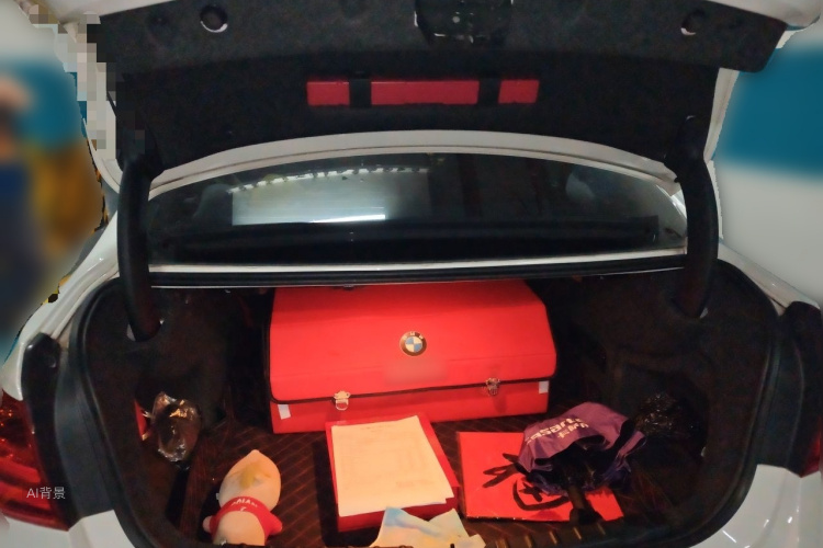 BMW 3 Series 2015 car image #21