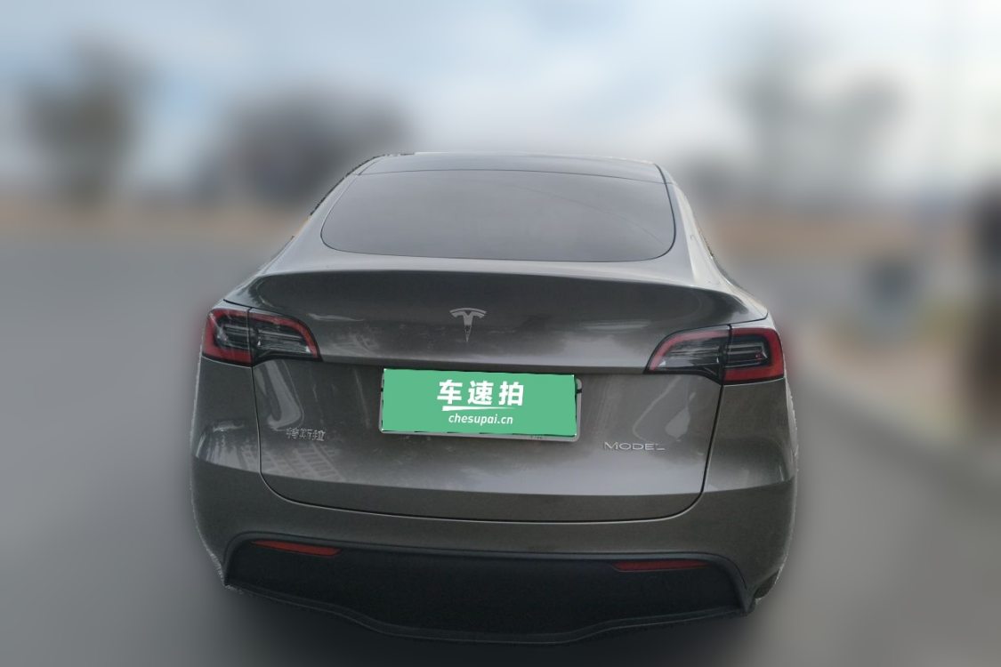 Tesla Model Y 2024 car image #6