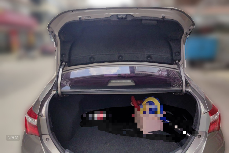 Toyota Corolla 2016 car image #21