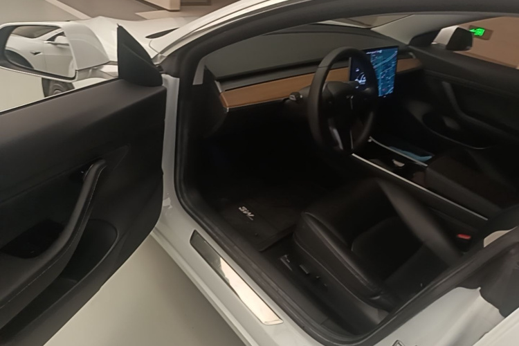Tesla Model 3 2020 car image #16
