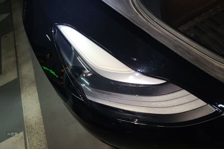 Tesla Model 3 2021 car image #8