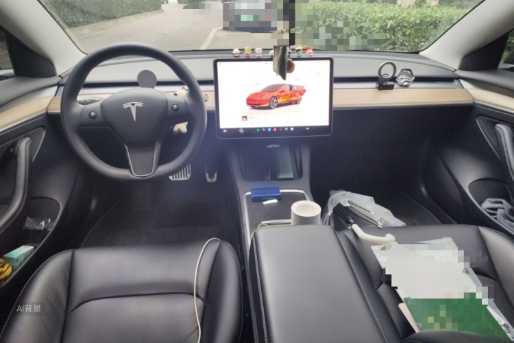 Tesla Model 3 2023 immagine di auto #11