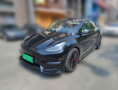 Tesla Model Y 2021 Tesla Model Y 2021 car image