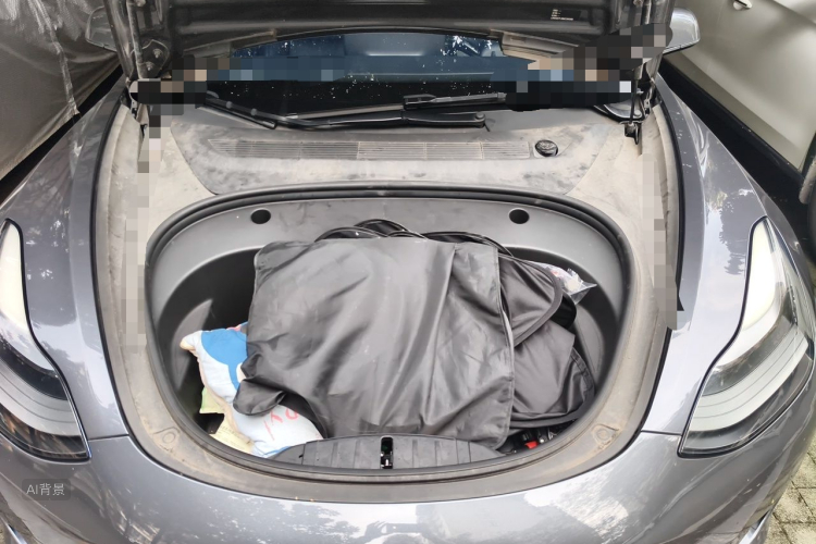 Tesla Model 3 2021 car image #22