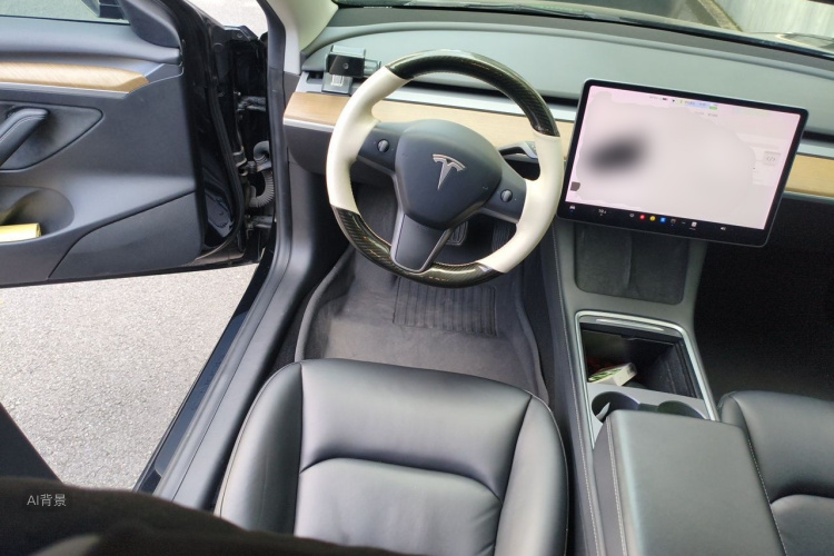 Tesla Model 3 2021 car image #12