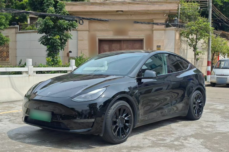 Tesla Model Y 2021 car image #8