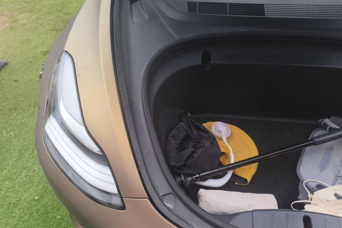Tesla Model 3 2020 #11 Tesla Model 3 2020 immagine di auto #11