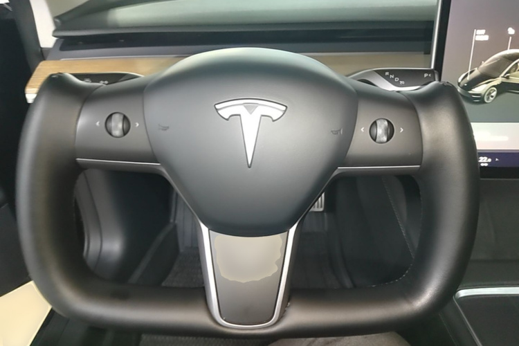 Tesla Model 3 2021 #15 Tesla Model 3 2021 car image #15