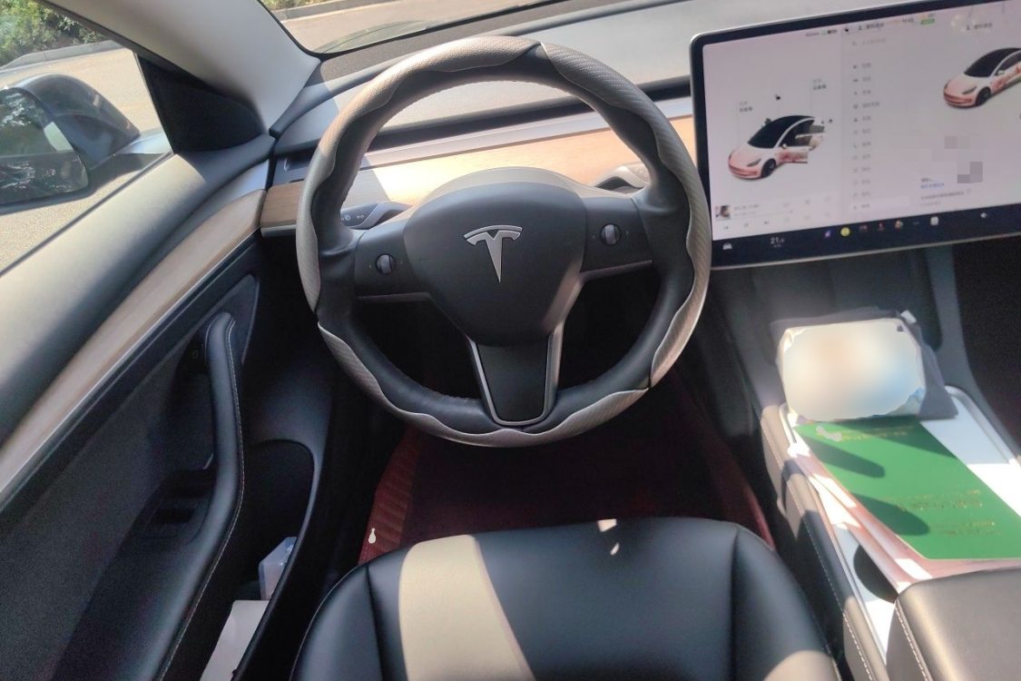 Tesla Model 3 2021 imagem de carro #22