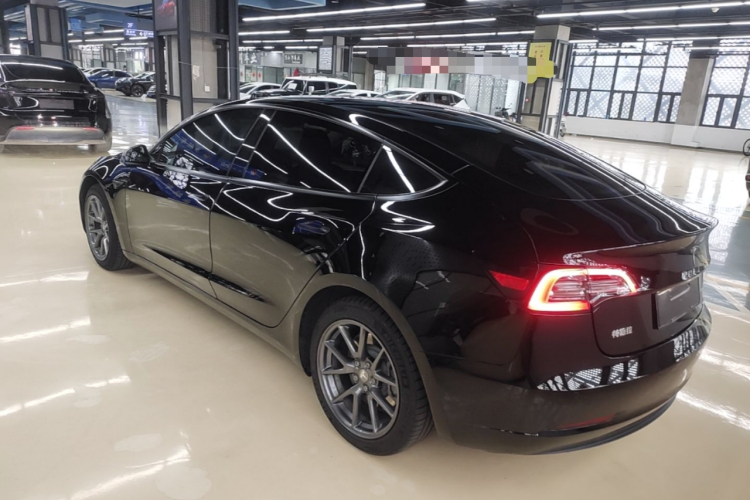 Tesla Model 3 2021 immagine di auto #7