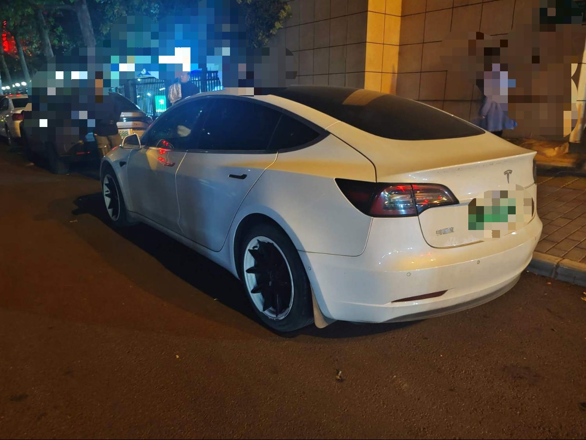 Tesla Model 3 2020 car image #3