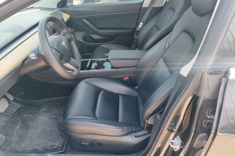 Tesla Model 3 2020 car image #15