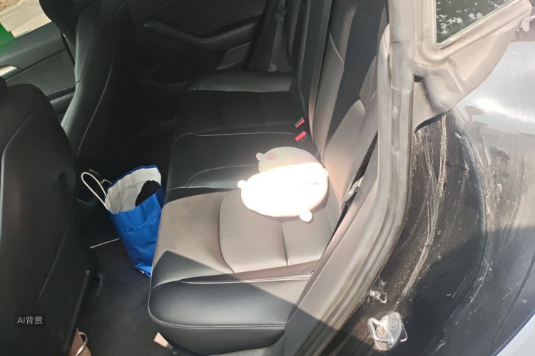 Tesla Model 3 2023 car image #19