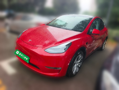 Tesla Model Y 2021 Tesla Model Y 2021 car image