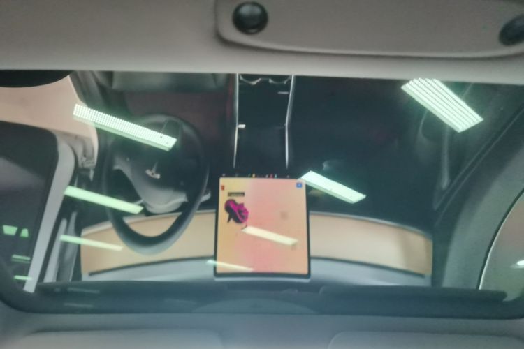 Tesla Model 3 2020 car image #18