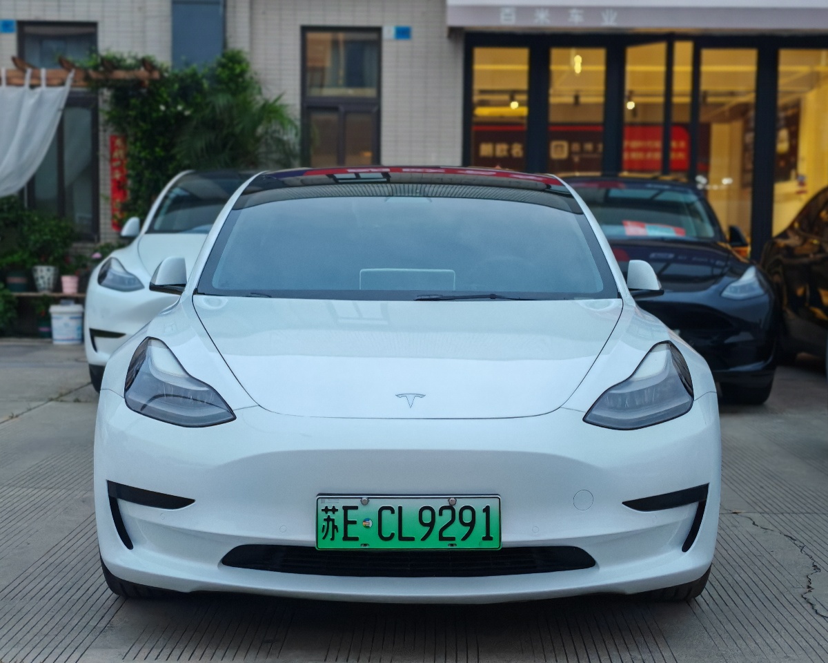 Tesla Model 3 2021 #2 Tesla Model 3 2021 car image #2
