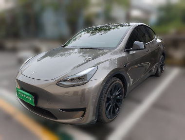 Tesla Model Y 2022 Tesla Model Y 2022 car image