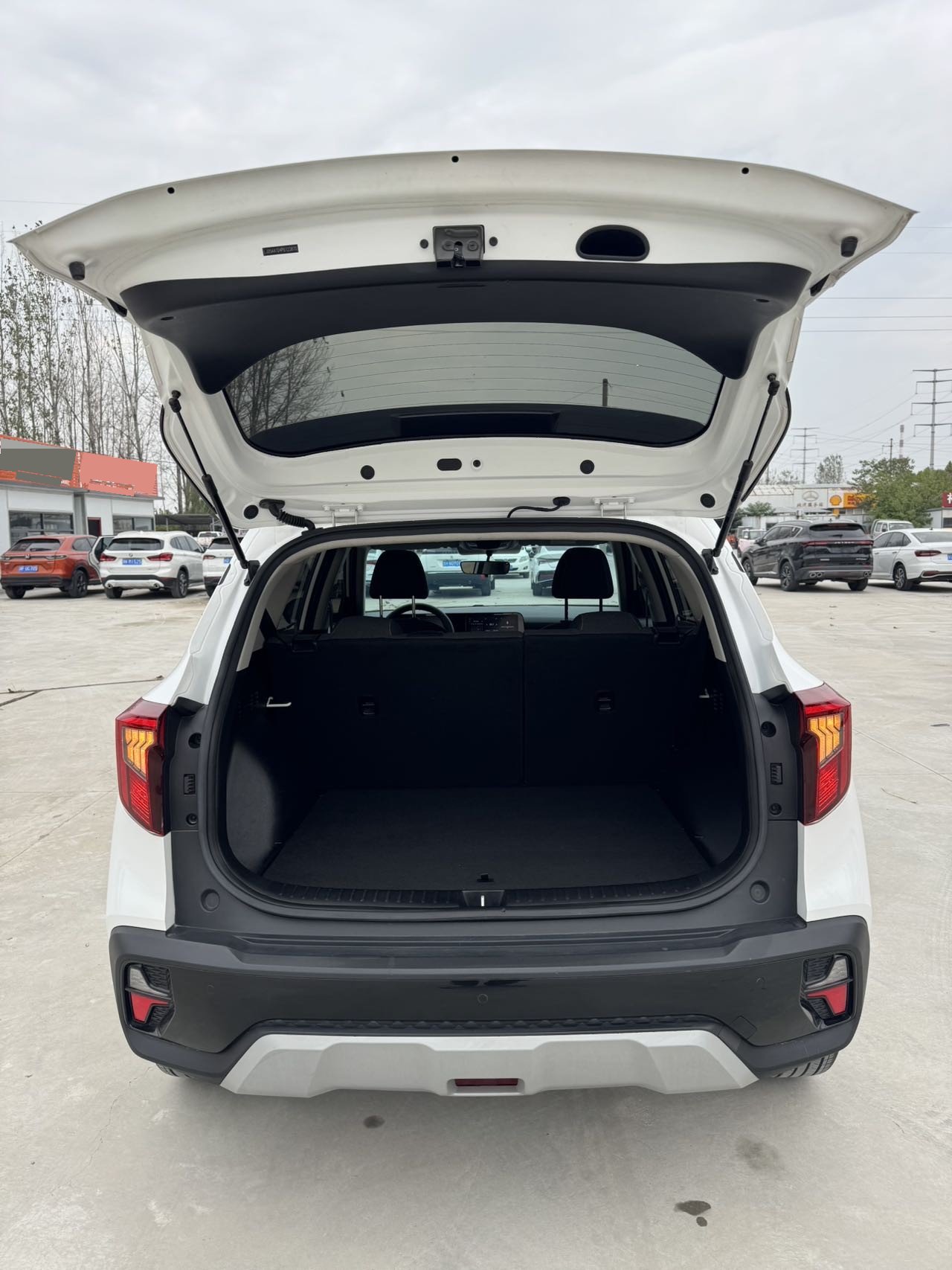 Kia Seltos 2023 imagen de coche #11