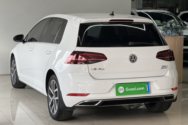 Volkswagen Golf 2019 car image #8