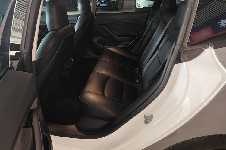 Tesla Model 3 2020 car image #17