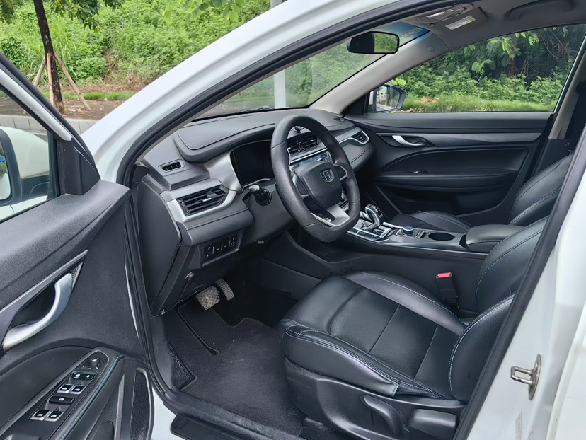 GEELY Emgrand New Energy 2019 car image #4
