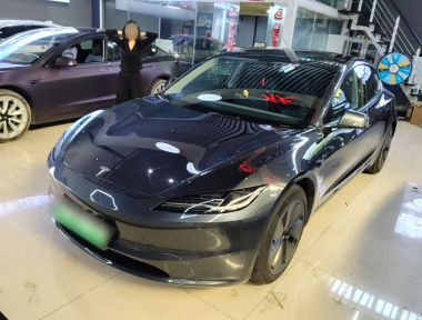 Tesla Model 3 2024 Tesla Model 3 2024 car image