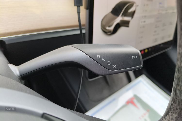 Tesla Model Y 2021 #16 Tesla Model Y 2021 car image #16