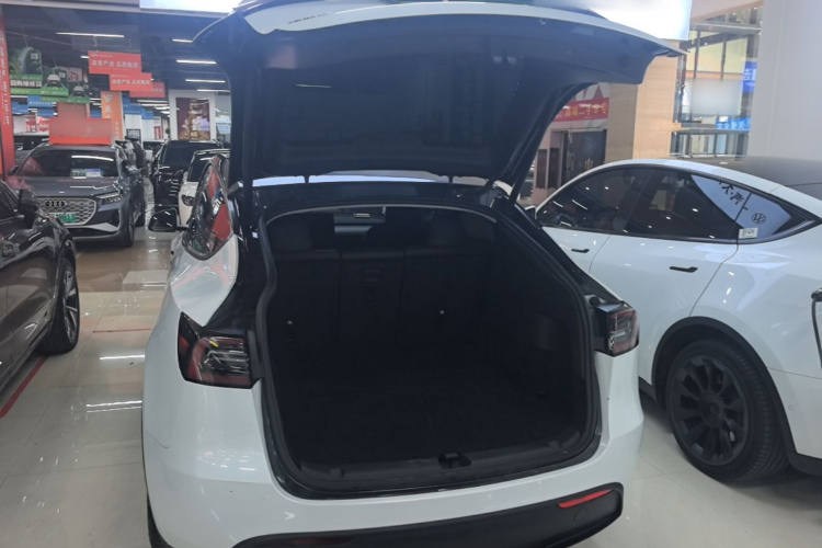 Tesla Model Y 2024 #19 Tesla Model Y 2024 car image #19