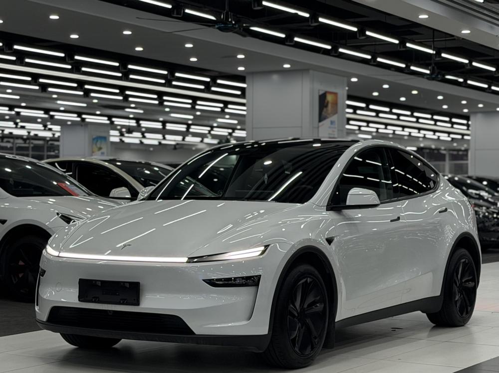 Tesla Model Y 2025 car image 