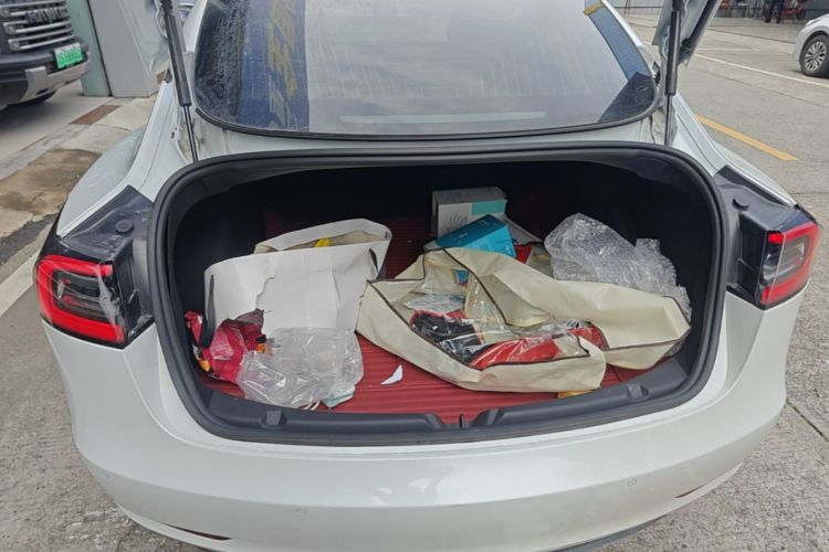 Tesla Model 3 2020 car image #21