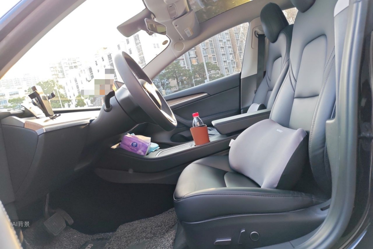 Tesla Model 3 2021 #17 Tesla Model 3 2021 car image #17