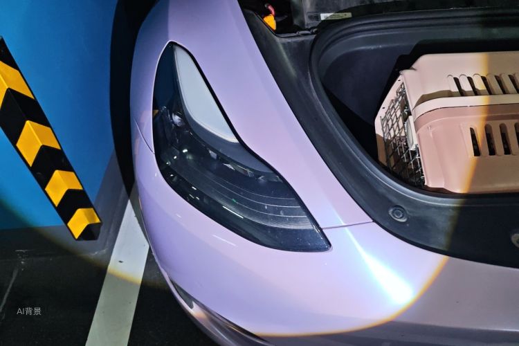 Tesla Model Y 2021 #8 Tesla Model Y 2021 car image #8