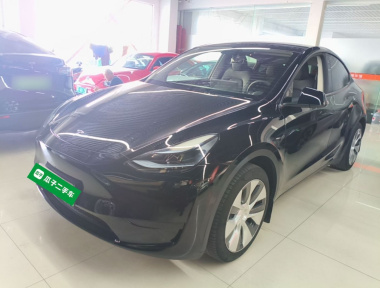 Tesla Model Y 2023 Tesla Model Y 2023 car image