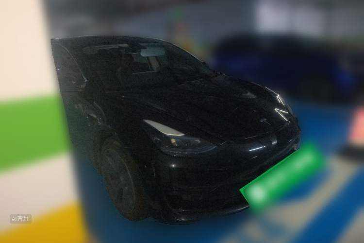 Tesla Model 3 2023 car image #4