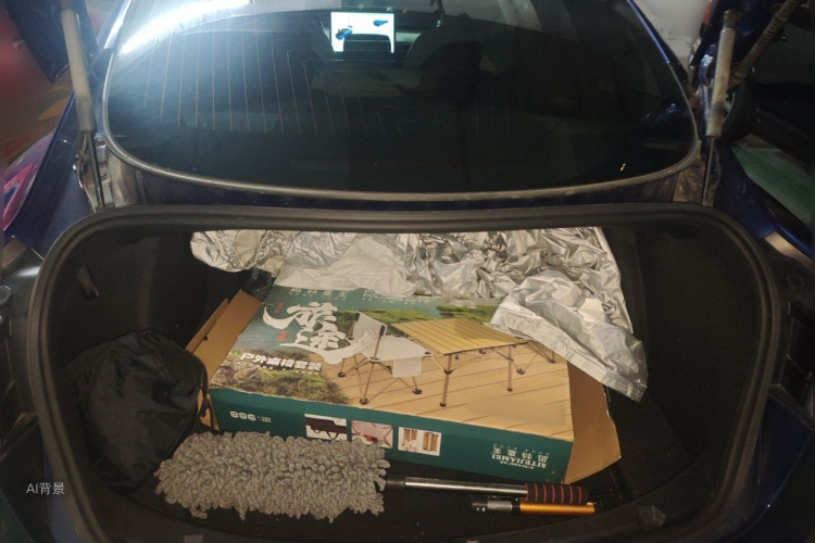 Tesla Model 3 2020 #21 Tesla Model 3 2020 car image #21