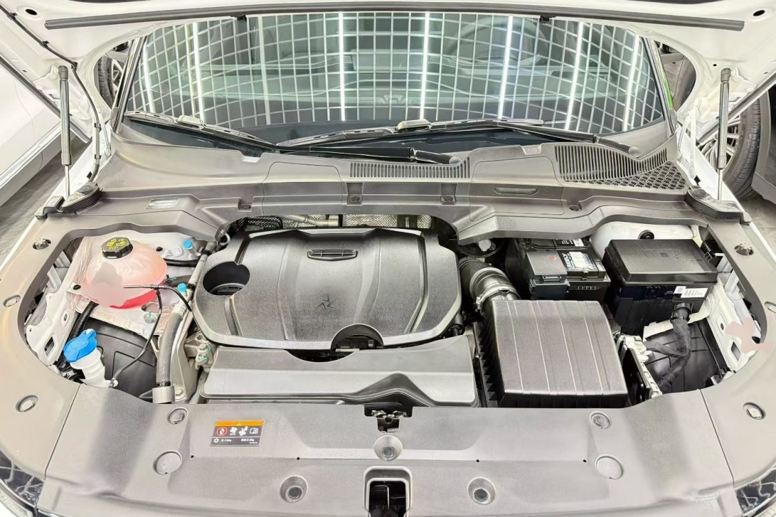 GEELY Cowboy 2024 immagine di auto #6
