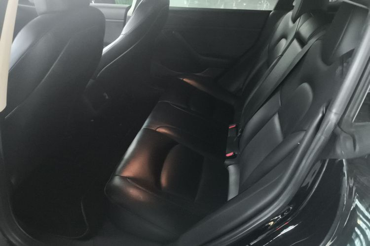 Tesla Model 3 2020 #11 Tesla Model 3 2020 car image #11