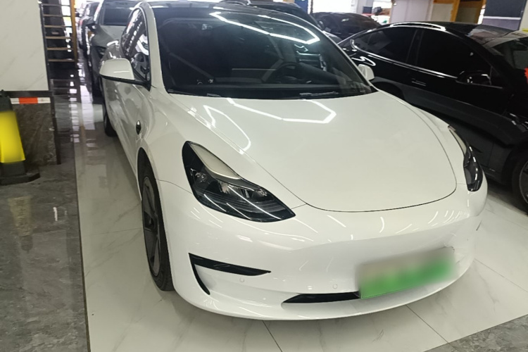 Tesla Model 3 2021 immagine di auto #4