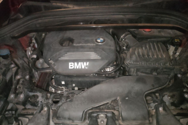 BMW X1 2019 car image #22