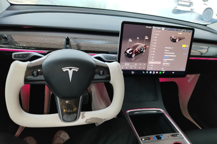 Tesla Model Y 2023 #10 Tesla Model Y 2023 car image #10