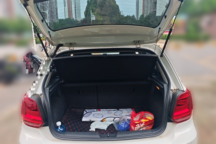 Volkswagen Polo 2016 car image #17