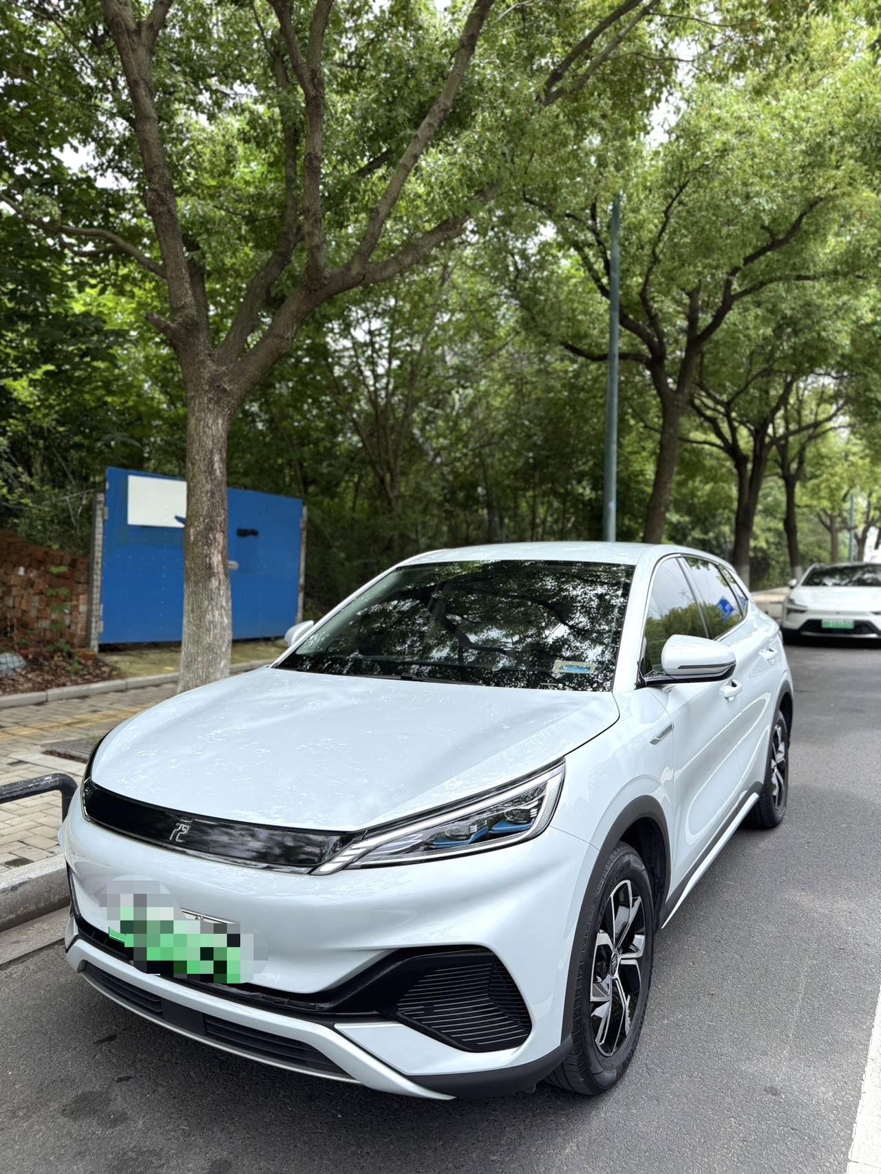 BYD Yuan Plus 2024 BYD Yuan Plus 2024 car image