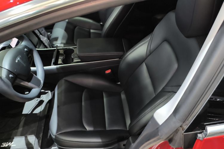 Tesla Model 3 2020 car image #19