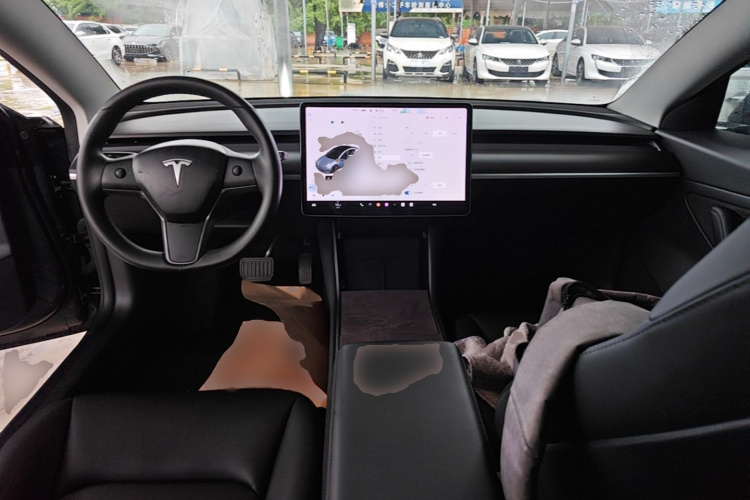 Tesla Model 3 2020 car image #10
