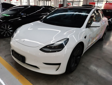 Tesla Model 3 2021 Tesla Model 3 2021 immagine di auto