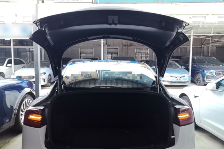 Tesla Model 3 2021 #19 Tesla Model 3 2021 car image #19