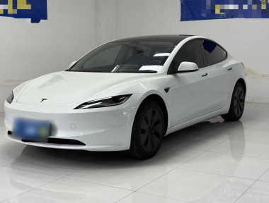 Tesla Model 3 2025 car image 