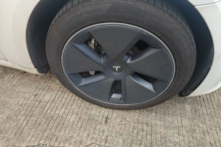 Tesla Model 3 2021 #6 Tesla Model 3 2021 car image #6