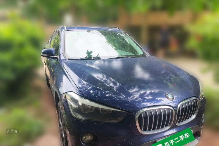 BMW X1 2017 car image #4