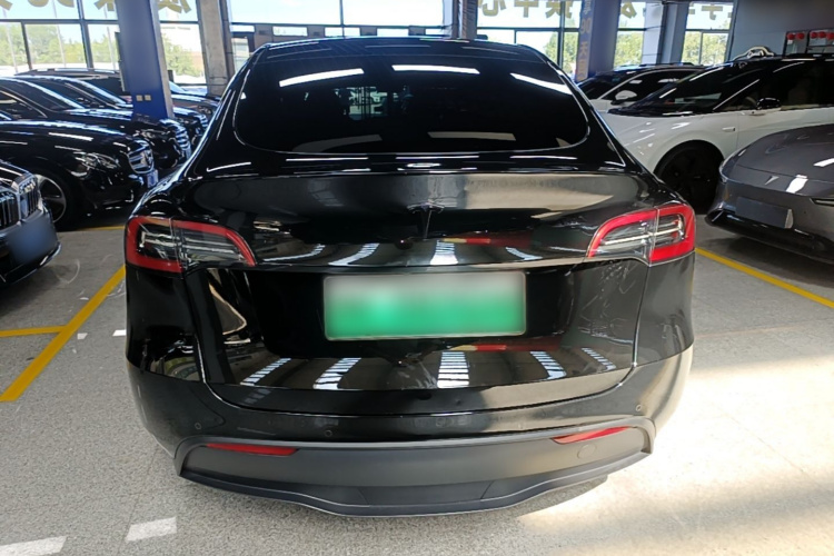 Tesla Model Y 2023 #6 Tesla Model Y 2023 car image #6